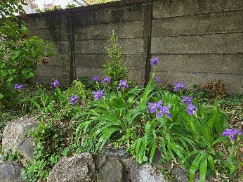 ガーデニンググループ